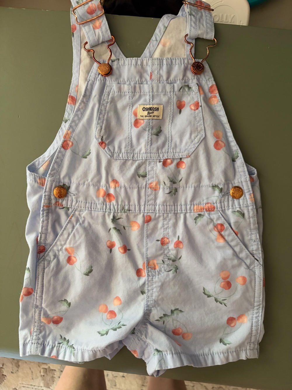 OshKosh B'gosh Light Blue Overalls with Peach Cherry Print